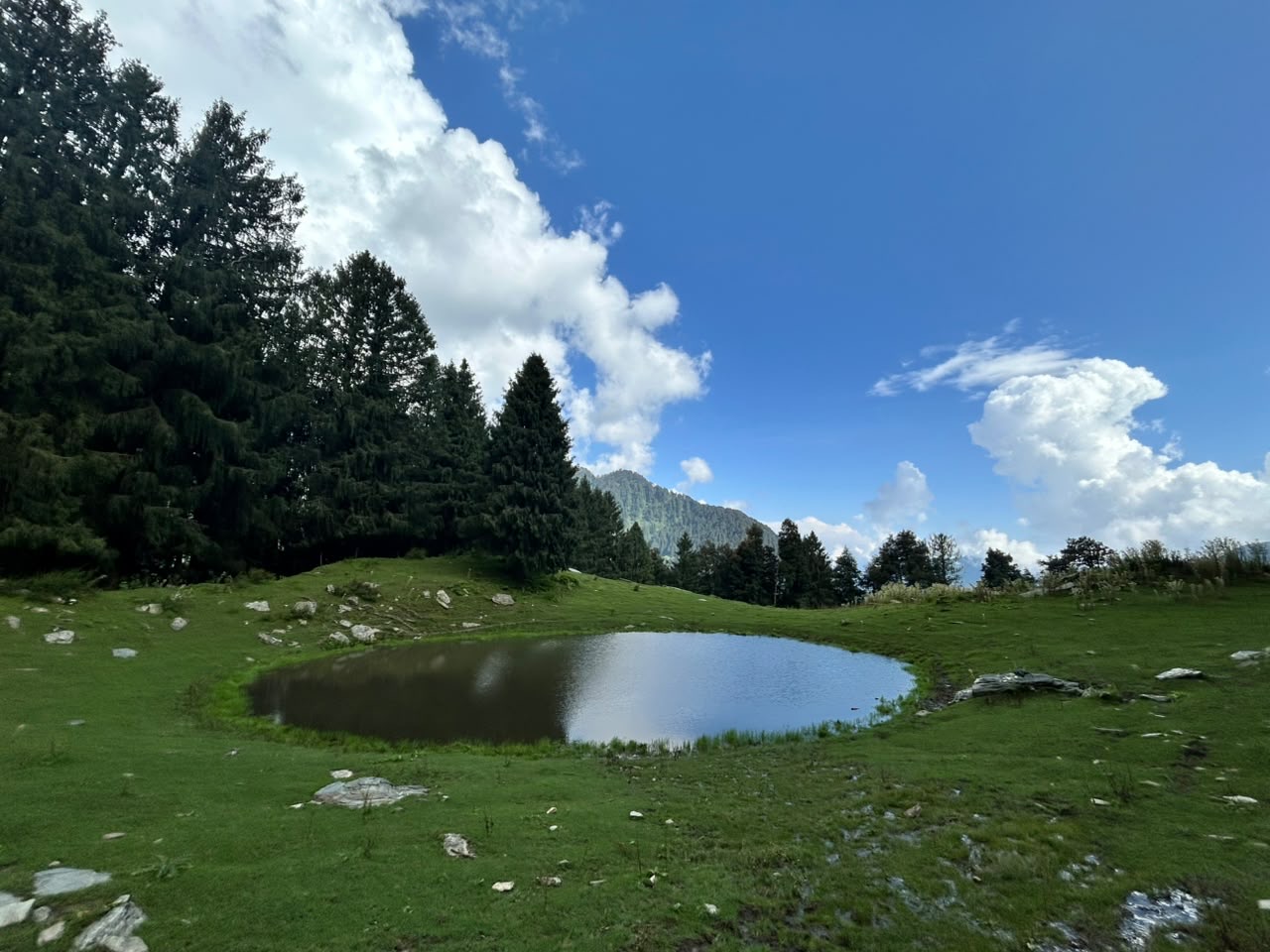 A small lake in a green meadow, cloud reflected in the water, with a forested ridge behind