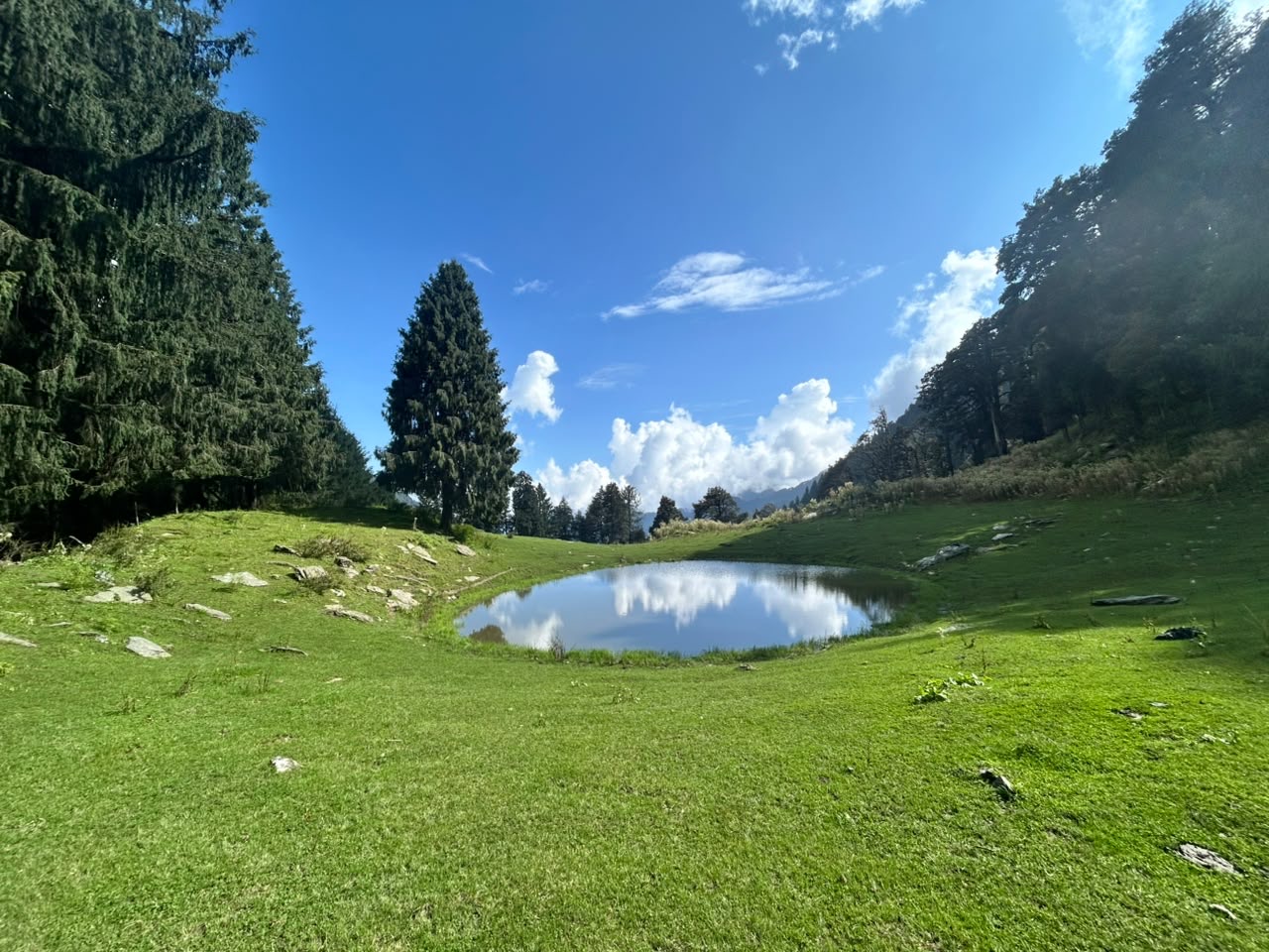 The lake in a bowl of grass, with fir trees on both sides and cloud sitting on the ridge
