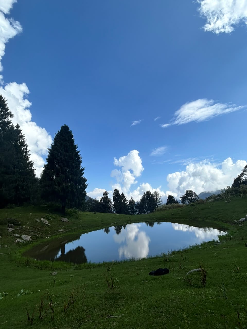 Still water holding the sky, with a tall fir reflected in the lake