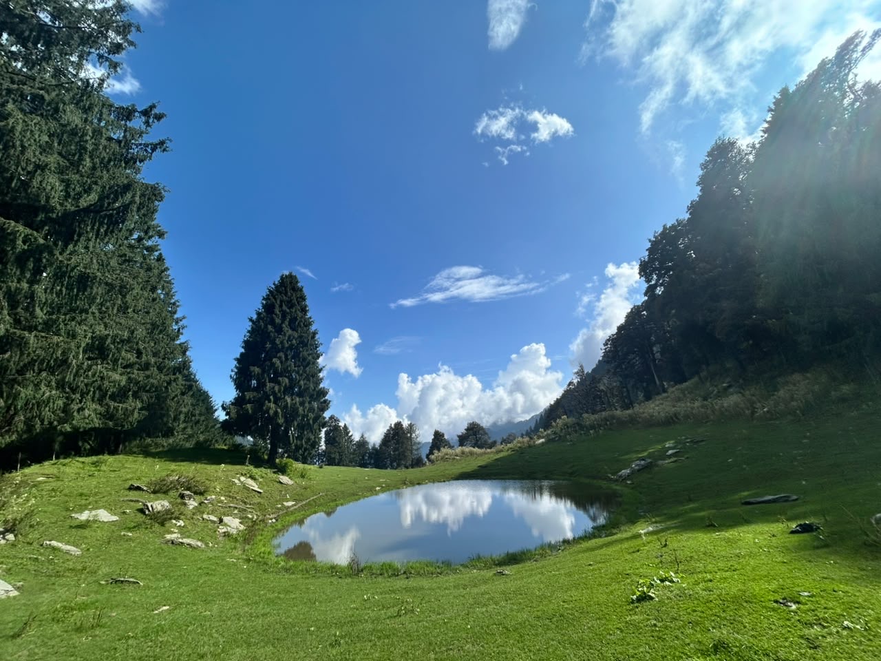 Sun flaring through the trees above the lake, meadow in the foreground
