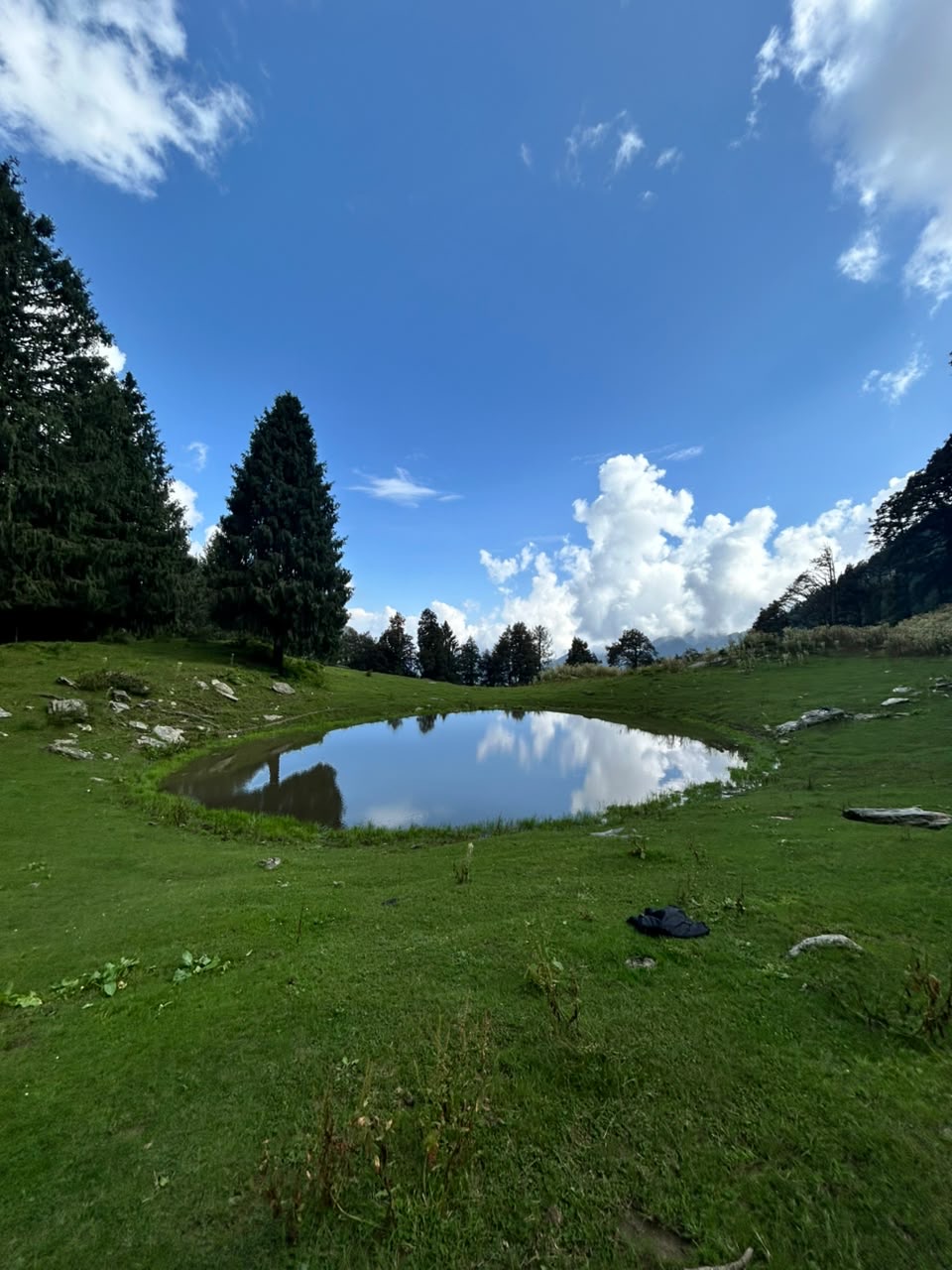 The lake in the meadow, with a pack set down on the grass in front