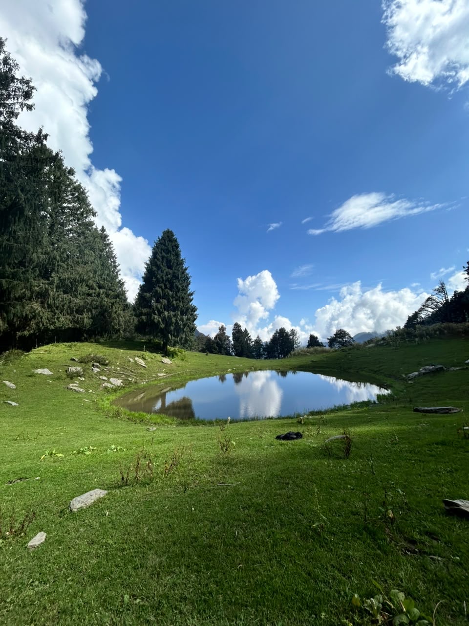 Open grass leading to the lake, trees closing in on the right