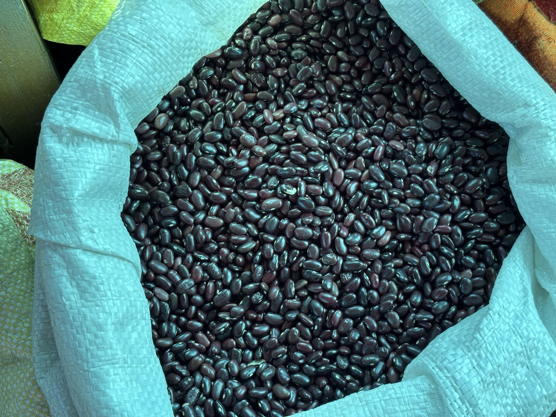 A sack of dark red rajma beans