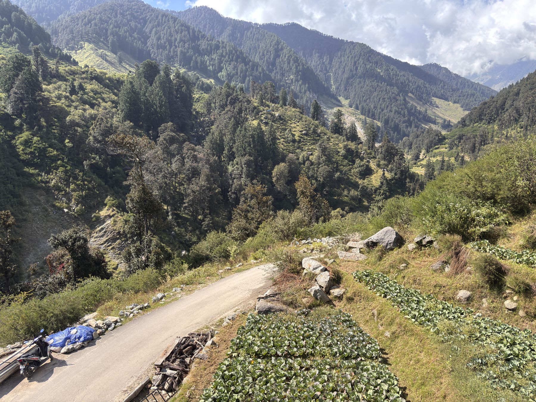 The road winding down through the valley